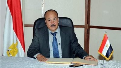 عضو اتحاد المصريين بالخارج: 34.9 مليار دولار تحويلات تؤكد قوة ارتباط أبناء الوطن بمصر