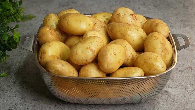 البطاطس