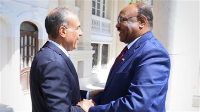   وزير الخارجية يؤكد دعم مصر لوحدة السودان خلال لقائه نظيره السوداني  
