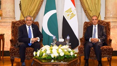 وزير الخارجية المصري ونائب رئيس الوزراء الباكستاني يبحثان تعزيز العلاقات الثنائية وتطورات المنطقة