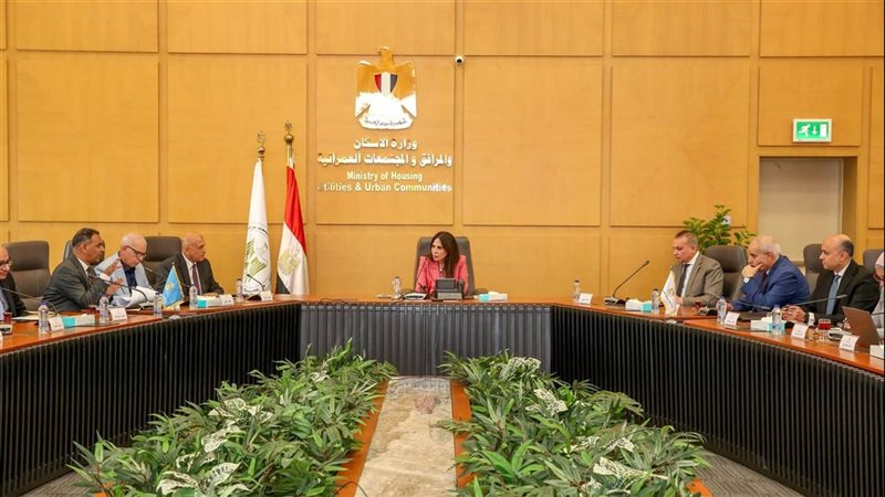 هير نيوز