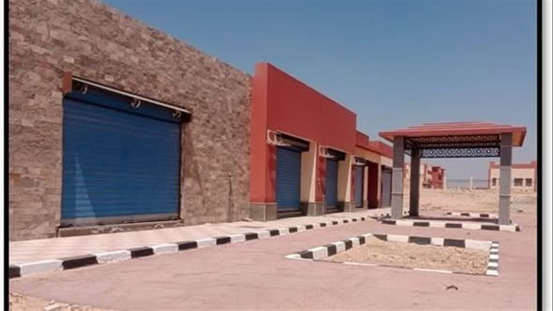 هير نيوز