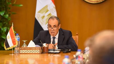 وزير الخارجية: الحوار الاستراتيجي مع شركاء التنمية يعزز توحيد الدبلوماسية السياسية والاقتصادية لدعم التنمية  