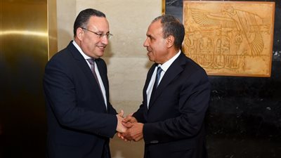   وزير الخارجية ووزير التعليم العالي يبحثان تعزيز التعاون الأكاديمي ودعم الشراكات الدولية للجامعات المصرية  