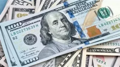  سعر الدولار أمام الجنيه المصرى اليوم الأحد 19 يوليو 2026