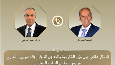 وزير الخارجية يبحث مع نبيه بري مستجدات الأوضاع في لبنان ويؤكد دعم مصر الكامل