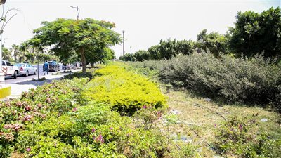 وزيرة الإسكان تتابع أعمال تطوير الطرق ومداخل مدينة بدر