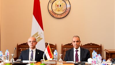 وزيرا الخارجية والاستثمار يبحثان تعزيز الاستثمارات المصرية في إفريقيا وتنسيق السياسات الاقتصادية