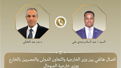  وزيرا خارجية مصر والصومال يبحثان تعزيز العلاقات الثنائية وتطورات الأوضاع في القرن الأفريقي  