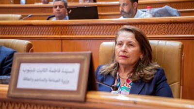 فاطمة ثابت | وزيرة الصناعة والمناجم والطاقة في تونس