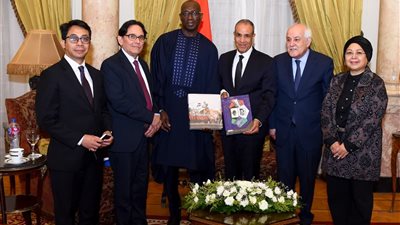 وزير الخارجية يؤكد أمام لجنة أممية مواصلة دعم مصر للقضية الفلسطينية ورفض تصفية حقوق الشعب الفلسطيني