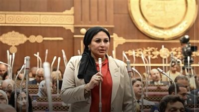 مقترح لتغيير مسمى “ربة منزل” إلى “صانعة جيل” يثير تفاعلًا.. ونائبة: أتمنى بعيد الأم