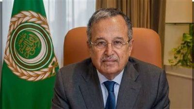 نبيل فهمي يدين استهداف السعودية والأردن ويصفه بـ