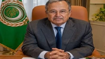 نبيل فهمي وفؤاد حسين يؤكدان تفعيل الدبلوماسية وتعزيز العمل العربي لمواجهة التحديات الإقليمية