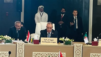 وزير الخارجية يؤكد رفض مصر لتهويد القدس ويدعو لتكثيف الجهود الدولية لإقامة الدولة الفلسطينية