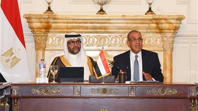 عبد العاطي يبحث مع القطاع الخاص سبل تعزيز توسع الشركات المصرية في الأسواق الأفريقية