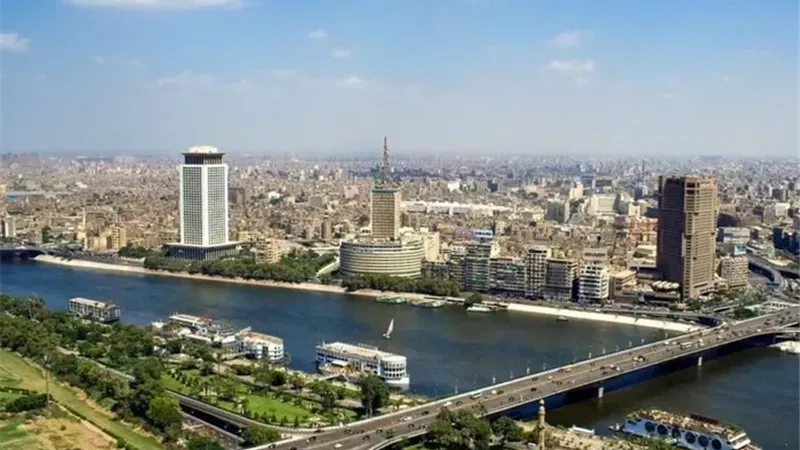 هير نيوز