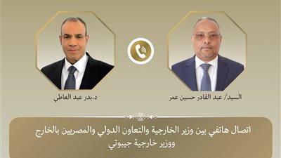 عبد العاطي ونظيره الجيبوتي يبحثان تعزيز العلاقات وتطورات القرن الأفريقي وأمن البحر الأحمر