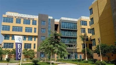 طالبة بجامعة بدر تستغيث بعد مشادة مع عميد خلال حفل تخرجها: «فرحتي اتكسرت»