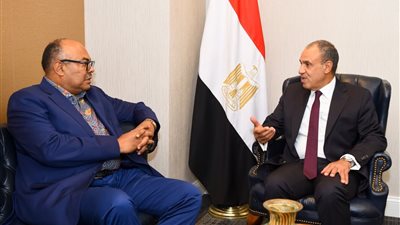 عبد العاطي يبحث مع وزير خارجية تنزانيا تعزيز العلاقات الثنائية والتعاون في ملف مياه النيل