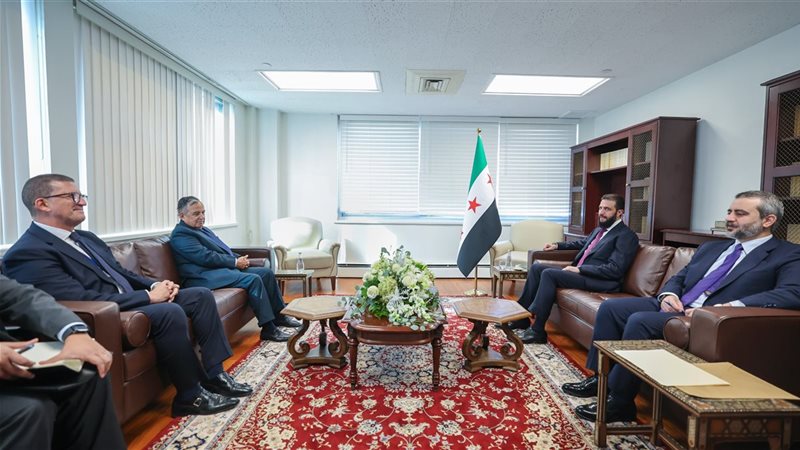 هير نيوز