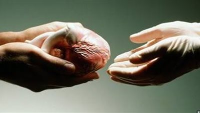  موقف نقابة الأطباء والقانون من نقل أعضاء المحكوم عليهم بالإعدام