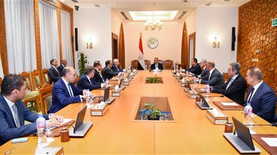وزير الخارجية يوجه بتكثيف التحرك الدبلوماسي المصري لاحتواء الأزمات الإقليمية وتعزيز جهود التهدئة