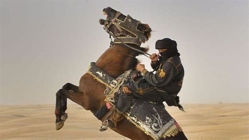 هير نيوز
