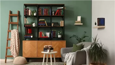 رفوف الكتب تتحول إلى لوحة فنية.. أفكار ديكور تمنح منزلك الدفء والأناقة