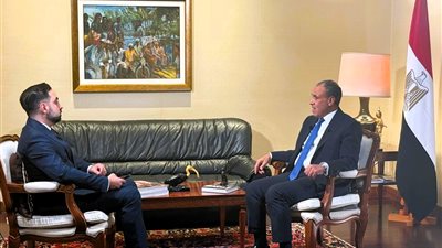 بدر عبد العاطي لـ«سكاي نيوز عربية»: تكثيف الجهود لخفض التصعيد بالمنطقة وصون الأمن المائي المصري