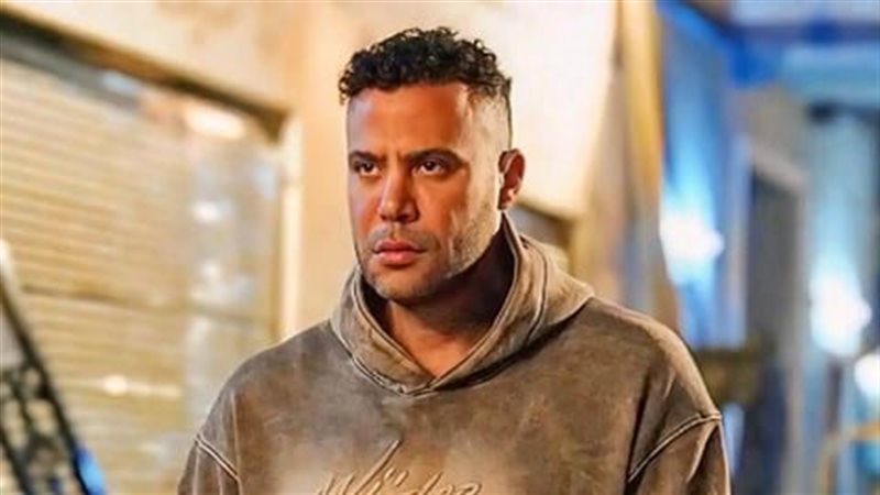 شمس الزناتي 