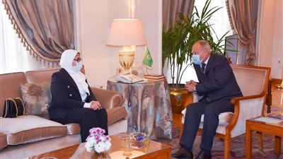 تعرفي على سبب اجتماع هالة زايد مع أمين عام جامعة الدول العربية 