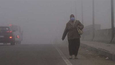 الأرصاد: شبورة مائية على القاهرة والوجه البحري.. وبيان بدرجات الحرارة.. فيديو