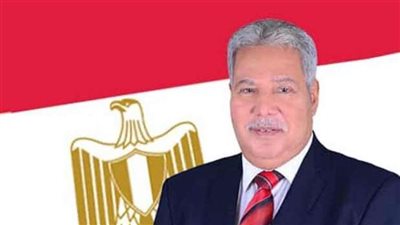 النائب أبو سريع إمام: عيد الأم يخلق البهجة داخل أسرتي