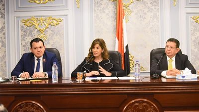 للعائدين من الخارج.. «مكرم» تكشف عن تفاصيل مبادرة «نورت بلدك»