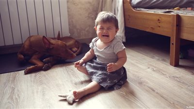 «ليه الأطفال بتخاف من الحيوانات الأليفة؟».. ناشطة في حقوق الحيوان تُجيب