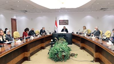 مبادرة بناة مصر الرقمية.. تفاصيل اتفاقية تعاون مع جامعة أوتاو الكندية