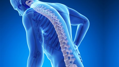 لو بتعاني من الغضروف.. 5 أعشاب لصحة أفضل.. والكوهوش الأسود الأبرز