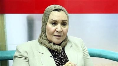 النائبة عبلة الهواري توضح بنود مشروع قانون تجريم زواج الأطفال.. خاص