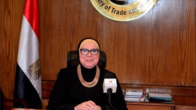 نيفين جامع: حريصون على نقل الخبرة المصرية للدول العربية