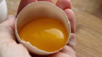 هل صفار البيض يؤخر الكلام لدى الأطفال؟ طبيب يُجيب 