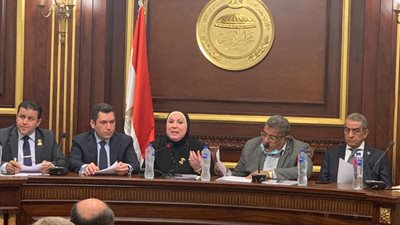 نيفين جامع: حلول عاجلة لمواجهة تحديات الصناعة خلال 15 يومًا 