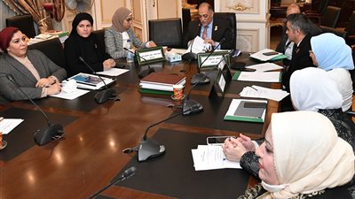 5 معلومات عن مشروع قانون حقوق المسنين.. توفير وسائل الرعاية الأهم