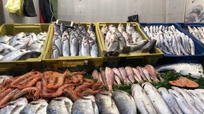 أسعار الأسماك اليوم الثلاثاء 30-3-2021.. البلطي بـ17 والماكريل بـ25 جنيها