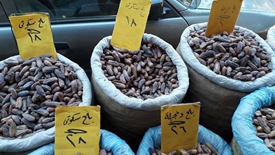 رمضان 2021| أسعار البلح بالأسواق.. الإبريمي بـ6 وقرن الغزال بـ20 جنيها