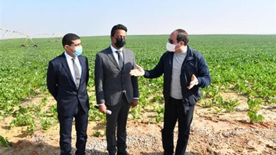 5 معلومات عن مشروع مستقبل مصر بالصحراء الغربية..موسم الحصاد اليوم