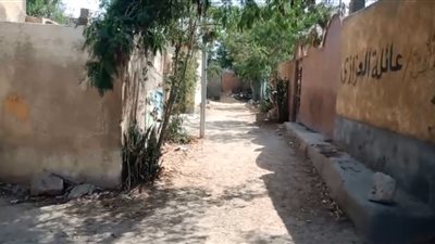 120 دقيقة رعب مع سيدات المقابر.. ثعابين نهارًا.. ونيران السحر تُضيء ليلاً