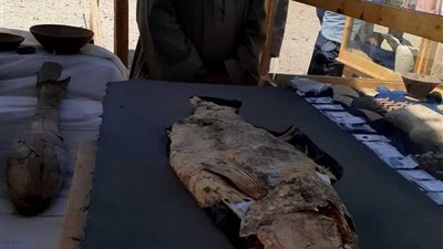 «لحمة وسمكة».. مفاجآت عن الاكتشافات الأثرية داخل المدينة المفقودة.. فيديو