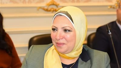 النائبة إحسان شوقى: الرقابة على الأسواق تضمن استقرار الأسعار (خاص)