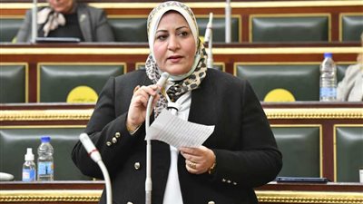 غادة الضبع: الحكومة تراقب الأسواق لضبط الأسعار ورفع العبء عن المواطن (خاص)